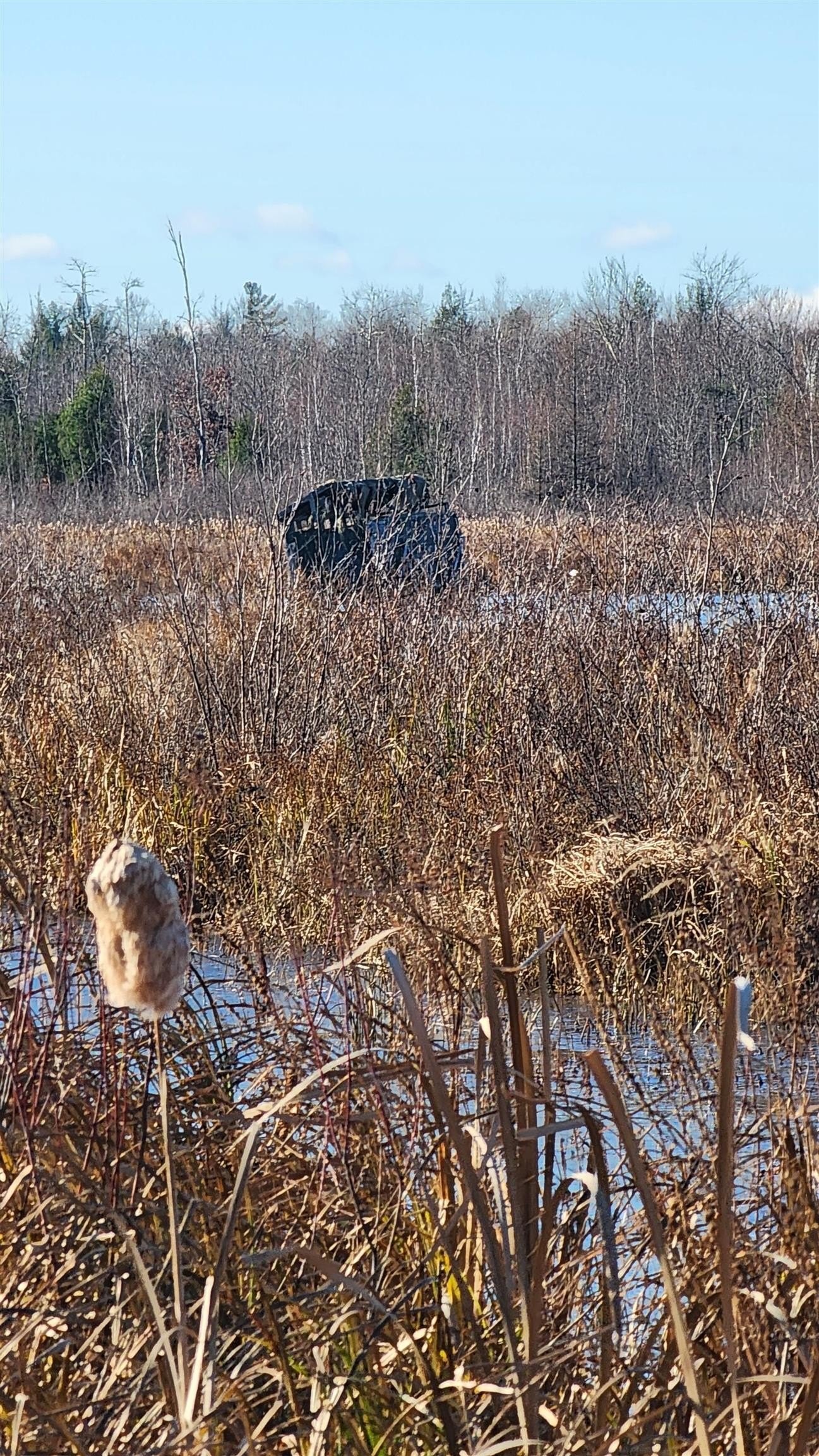 20. Coles Creek Road