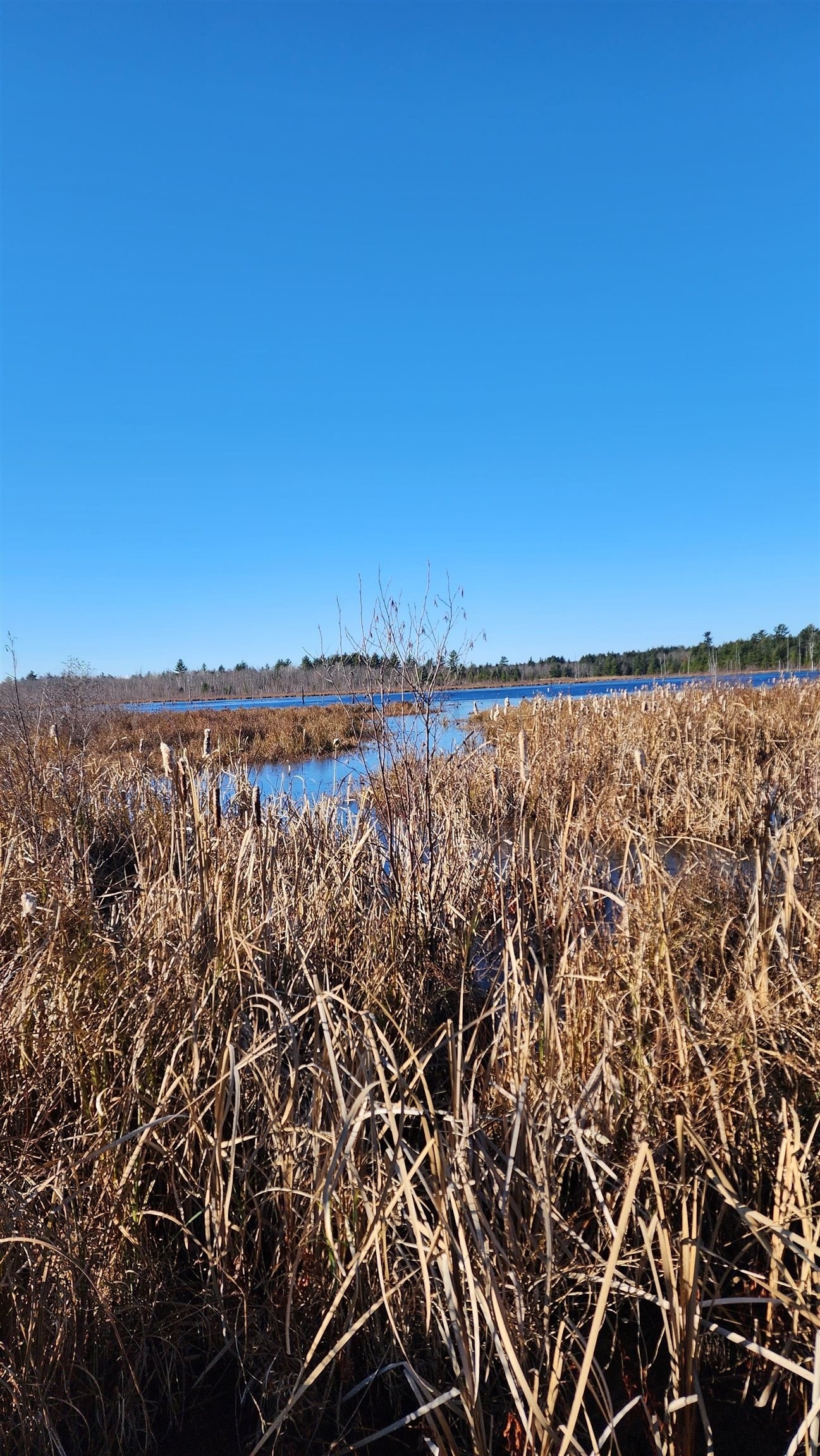 21. Coles Creek Road