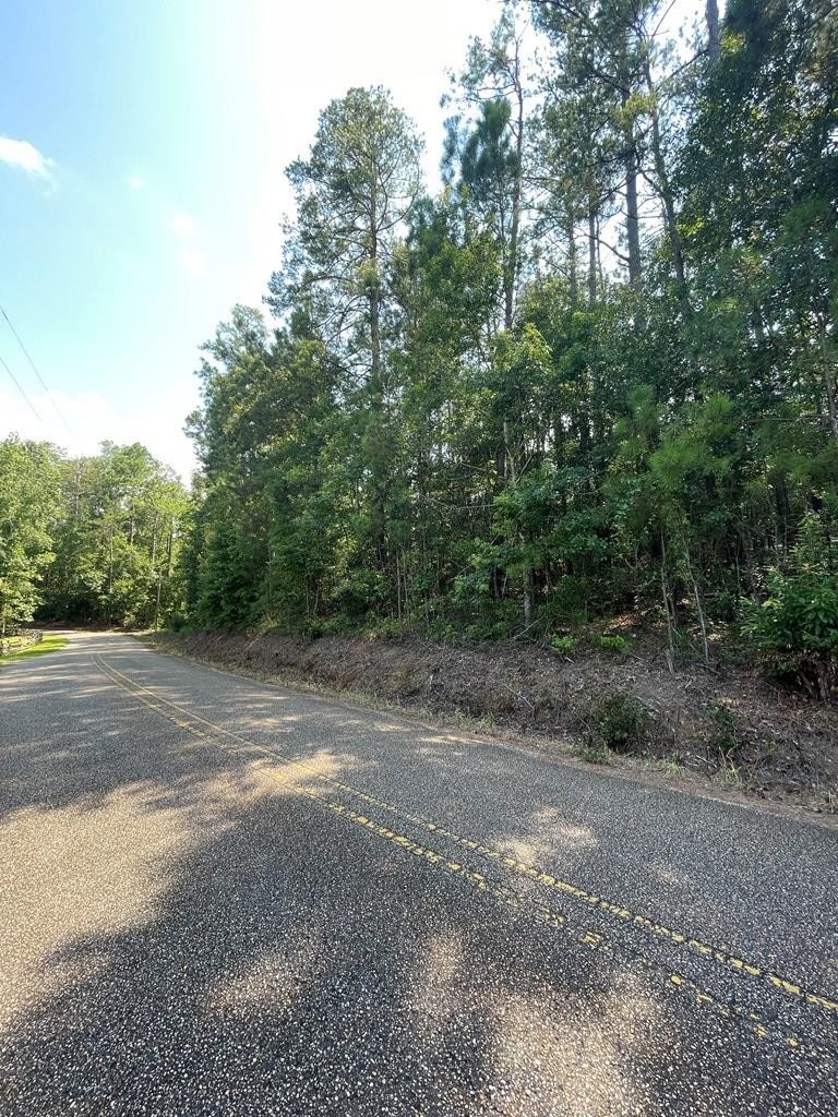2. Lot 5 Lakeview Dr