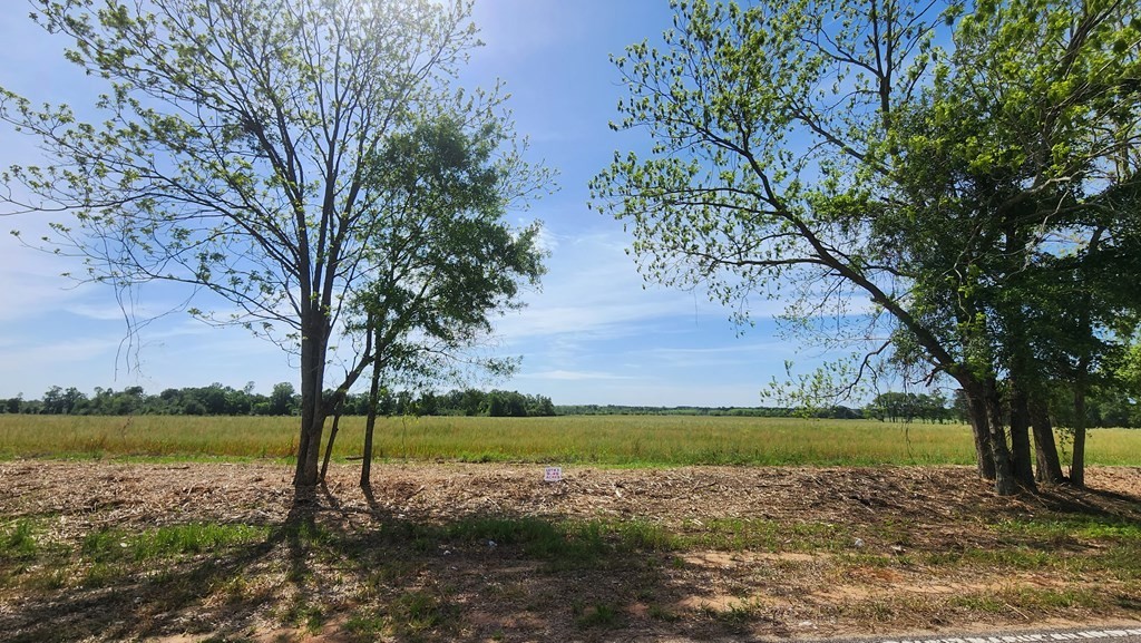 2. 9.49 Acres County Rd 92   Lot 5