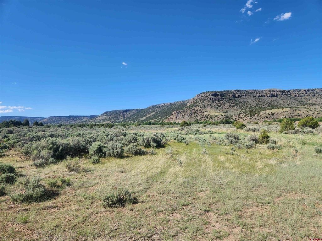 1. Lot 11 Conejos River Trails