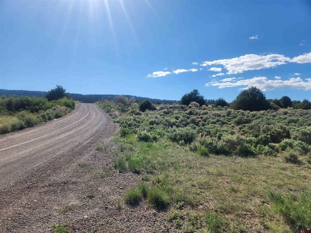 2. Lot 11 Conejos River Trails