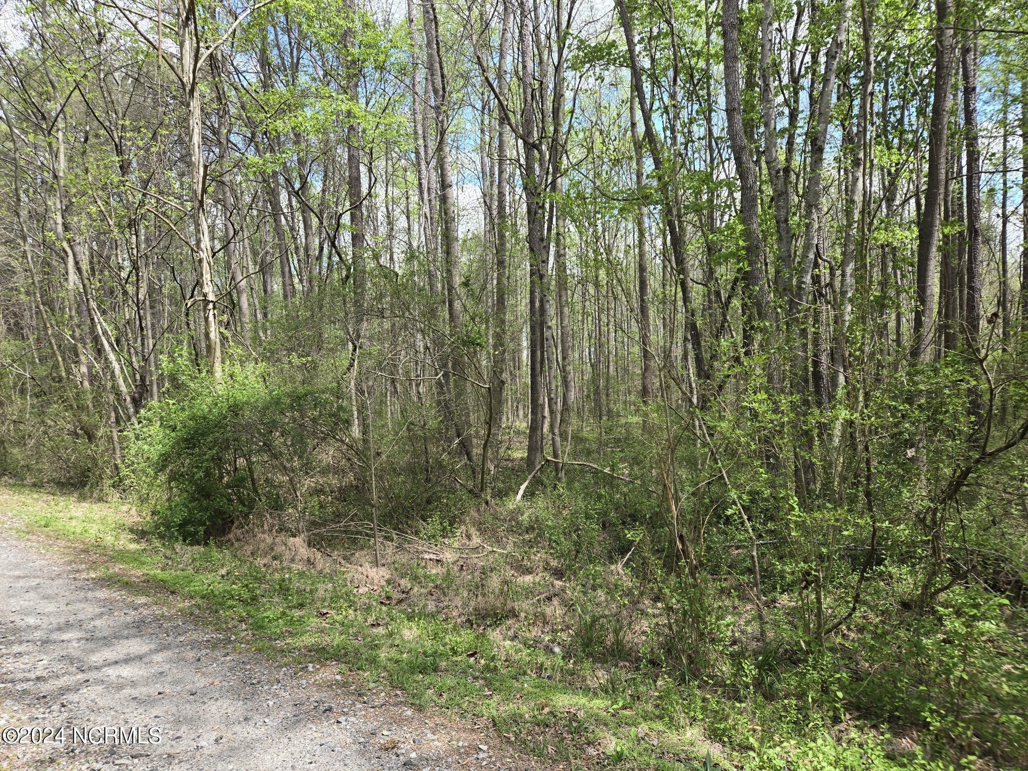 3. 3.75 Ac Vick Road