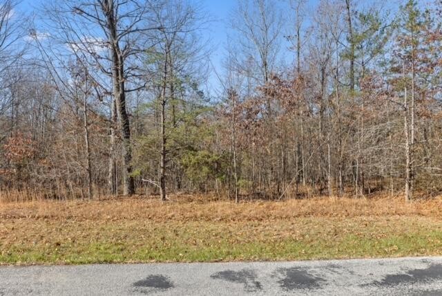 2. Lot 337 Bluff View Dr