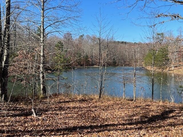 17. Lot 337 Bluff View Dr