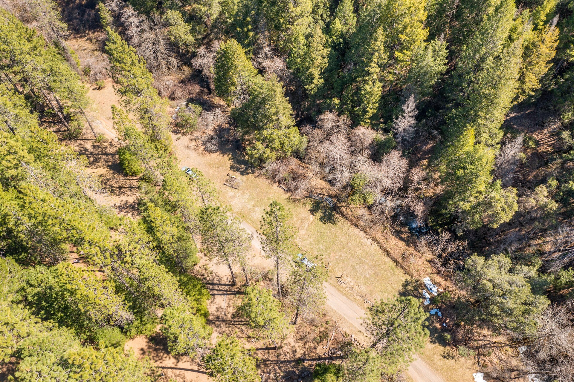 44. 21907 Cavanaugh Canyon Road