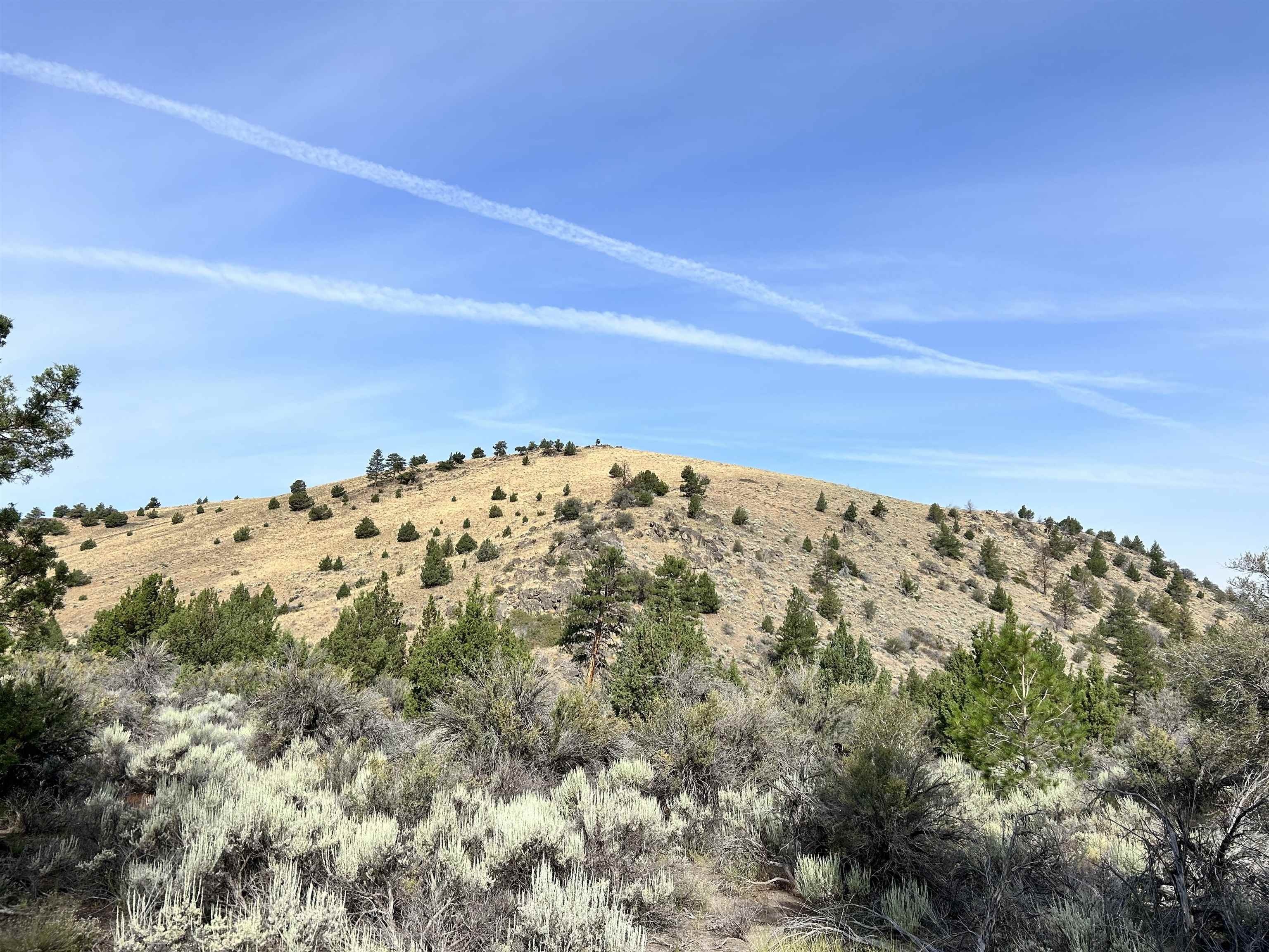 1. 319 Acres Yellow Butte Rd