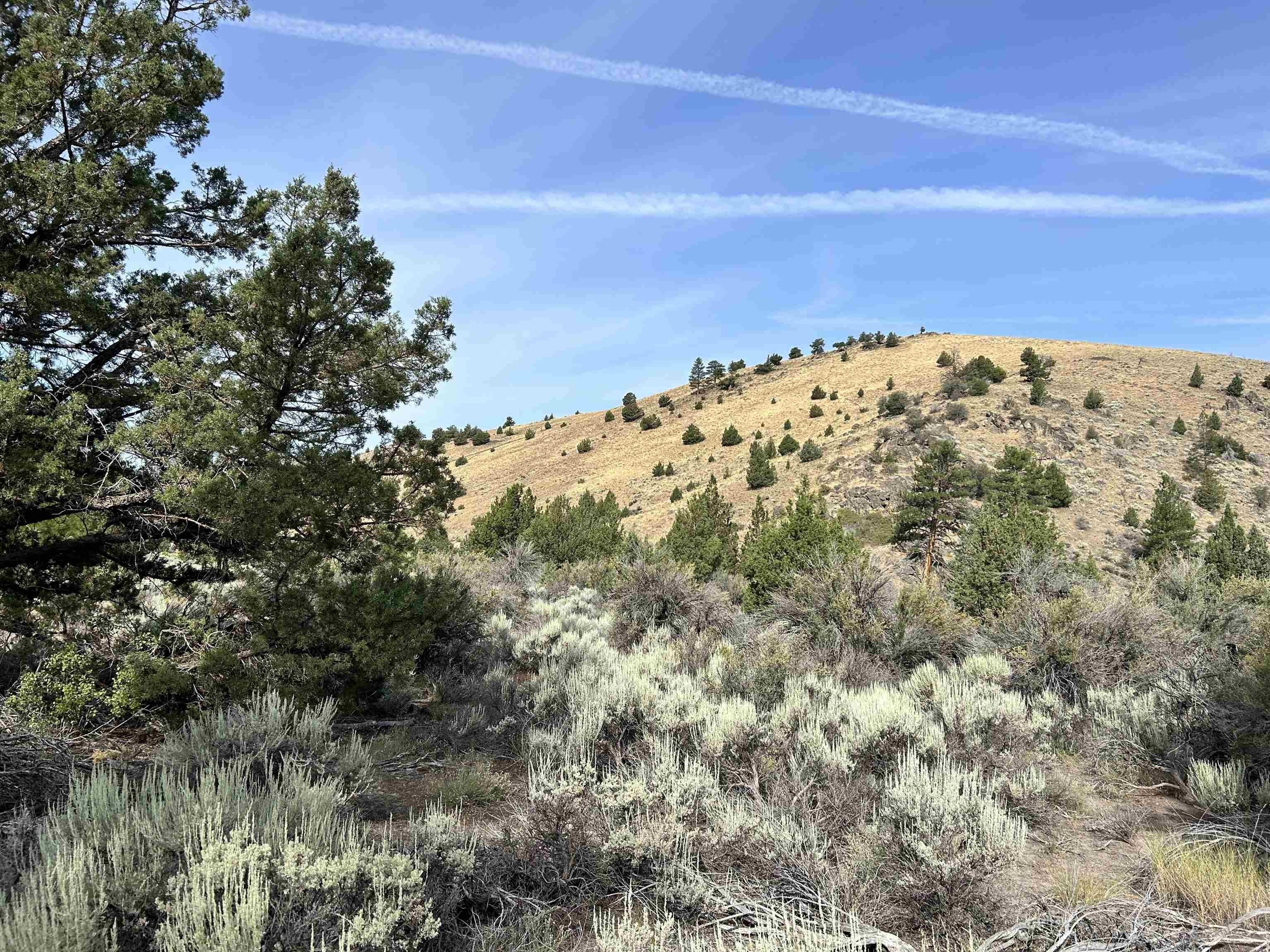 2. 319 Acres Yellow Butte Rd