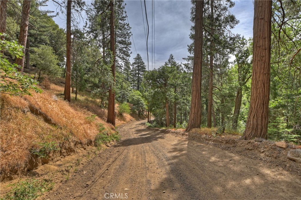 1. 110 Lots 110-123 Burnt Mill Canyon Road