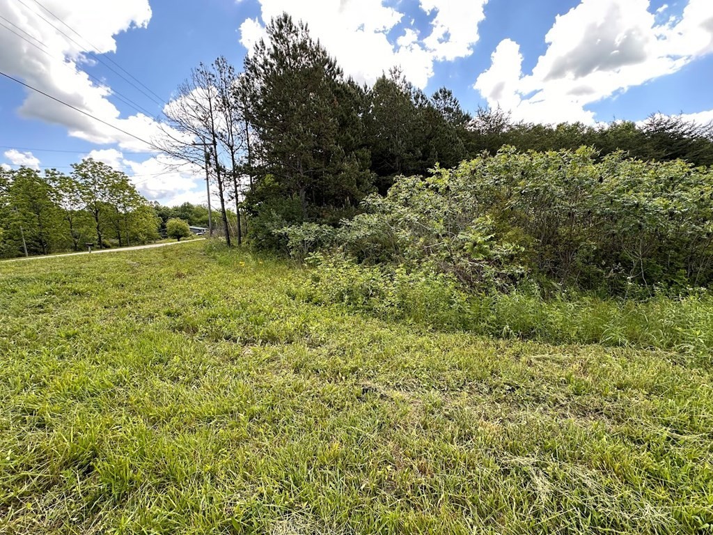 3. Lot 13 Leatherwood Ford Rd