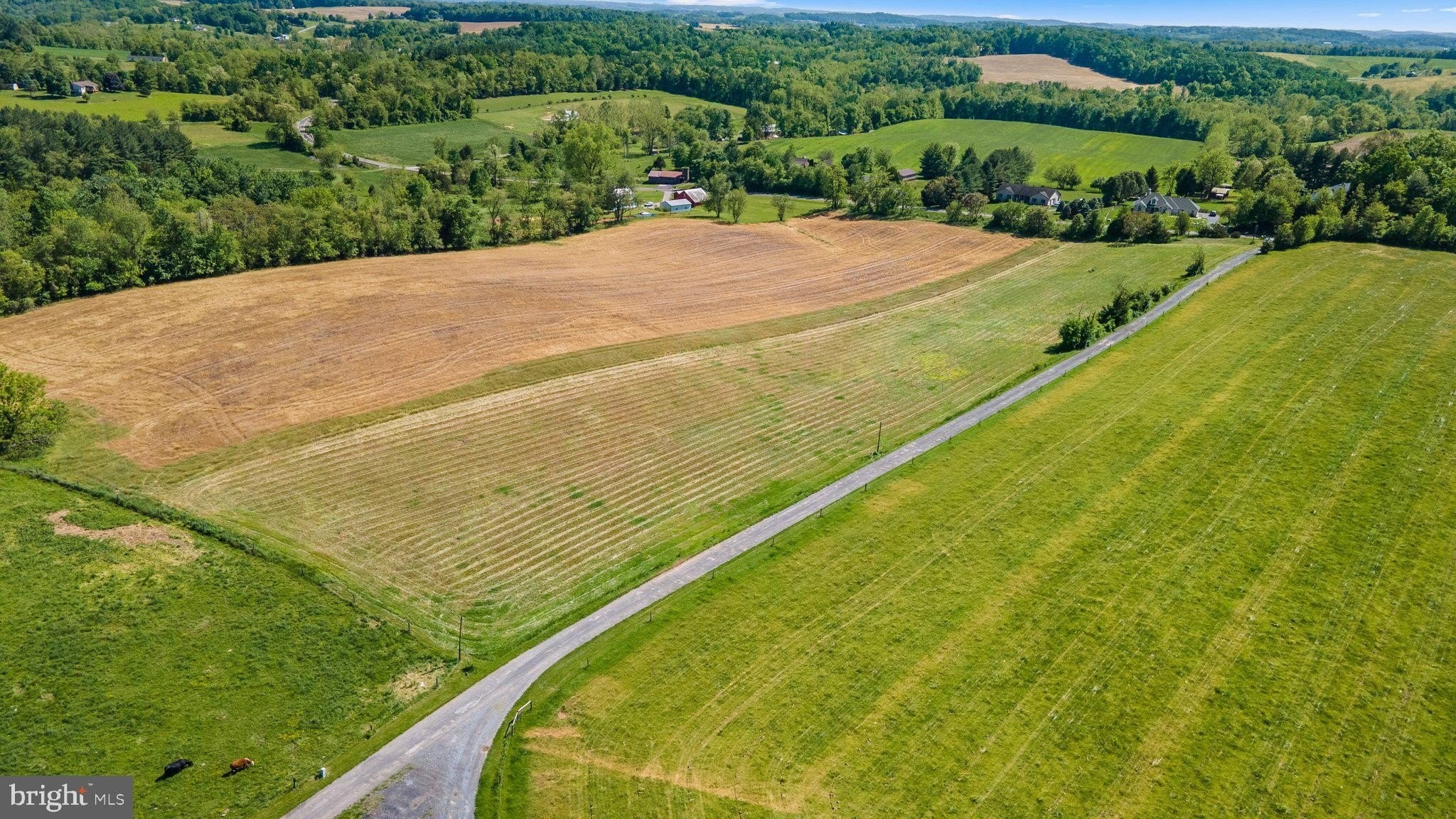 29. Brown Farm Remain Portion Cross Section Rd (Near 2341 Cross Section Rd)