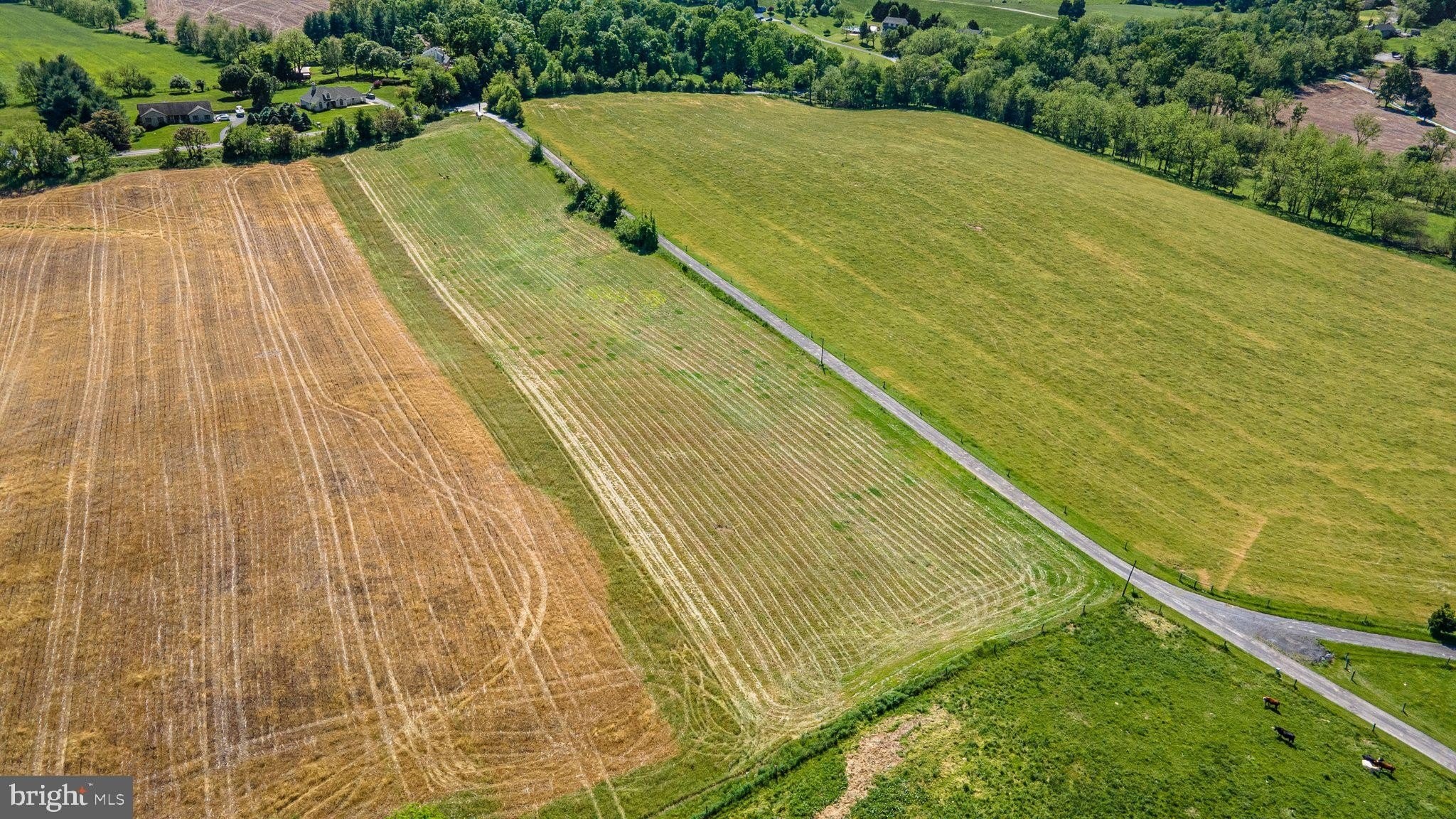 31. Brown Farm Remain Portion Cross Section Rd (Near 2341 Cross Section Rd)