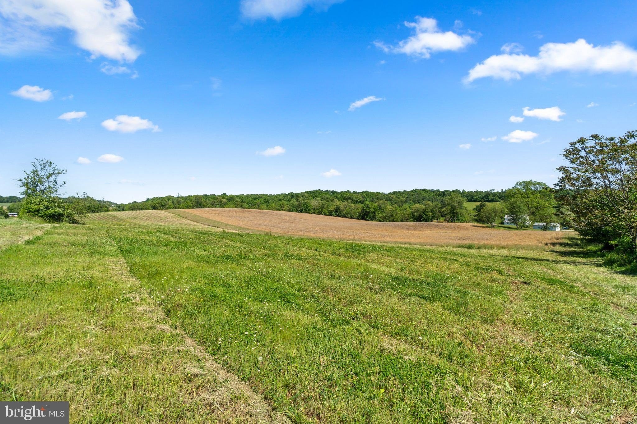 2. Brown Farm Remain Portion Cross Section Rd (Near 2341 Cross Section Rd)