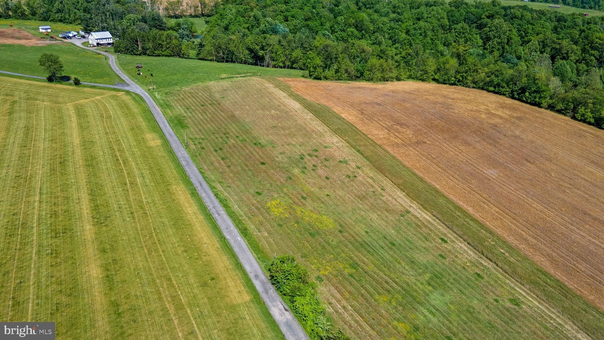 28. Brown Farm Remain Portion Cross Section Rd (Near 2341 Cross Section Rd)