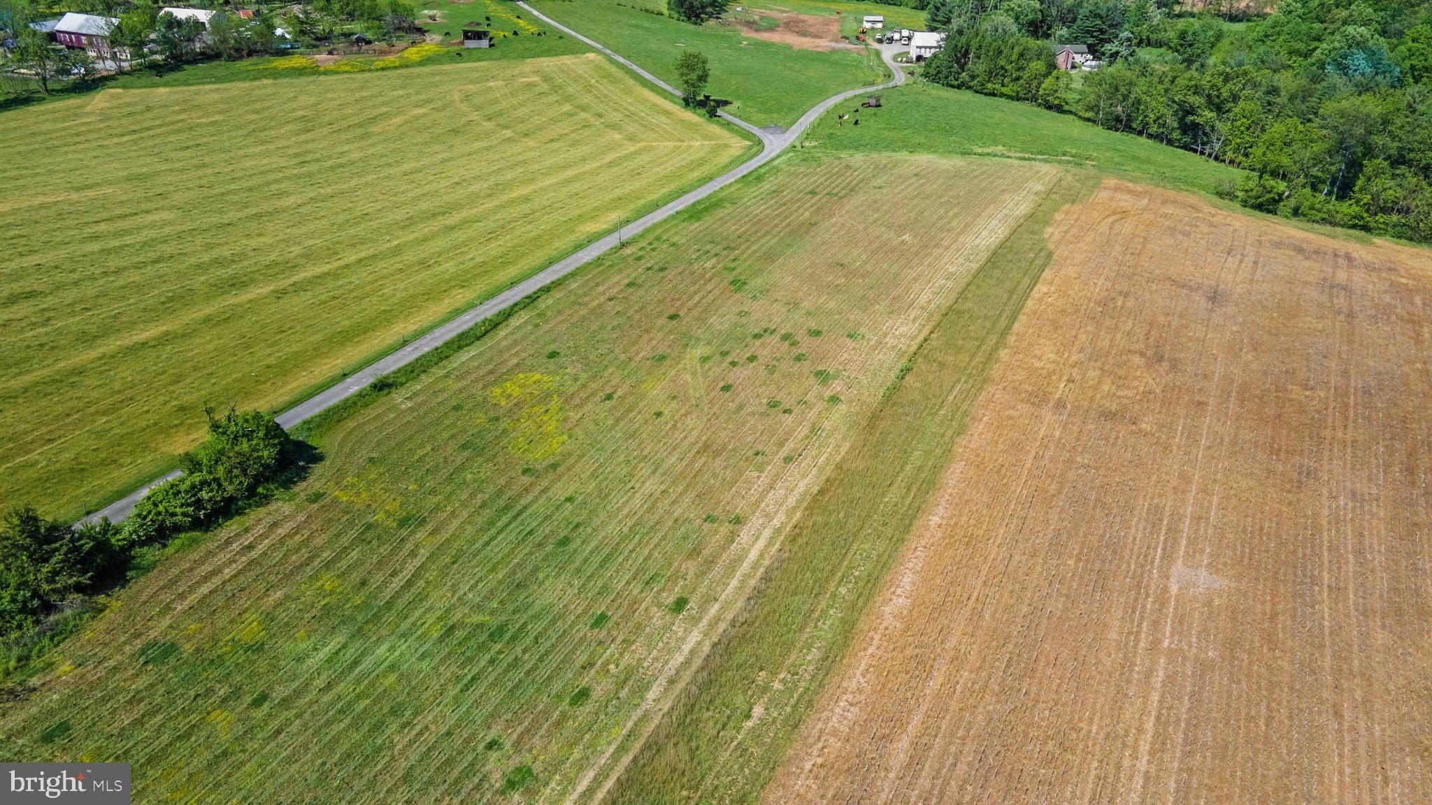 1. Brown Farm Remain Portion Cross Section Rd (Near 2341 Cross Section Rd)