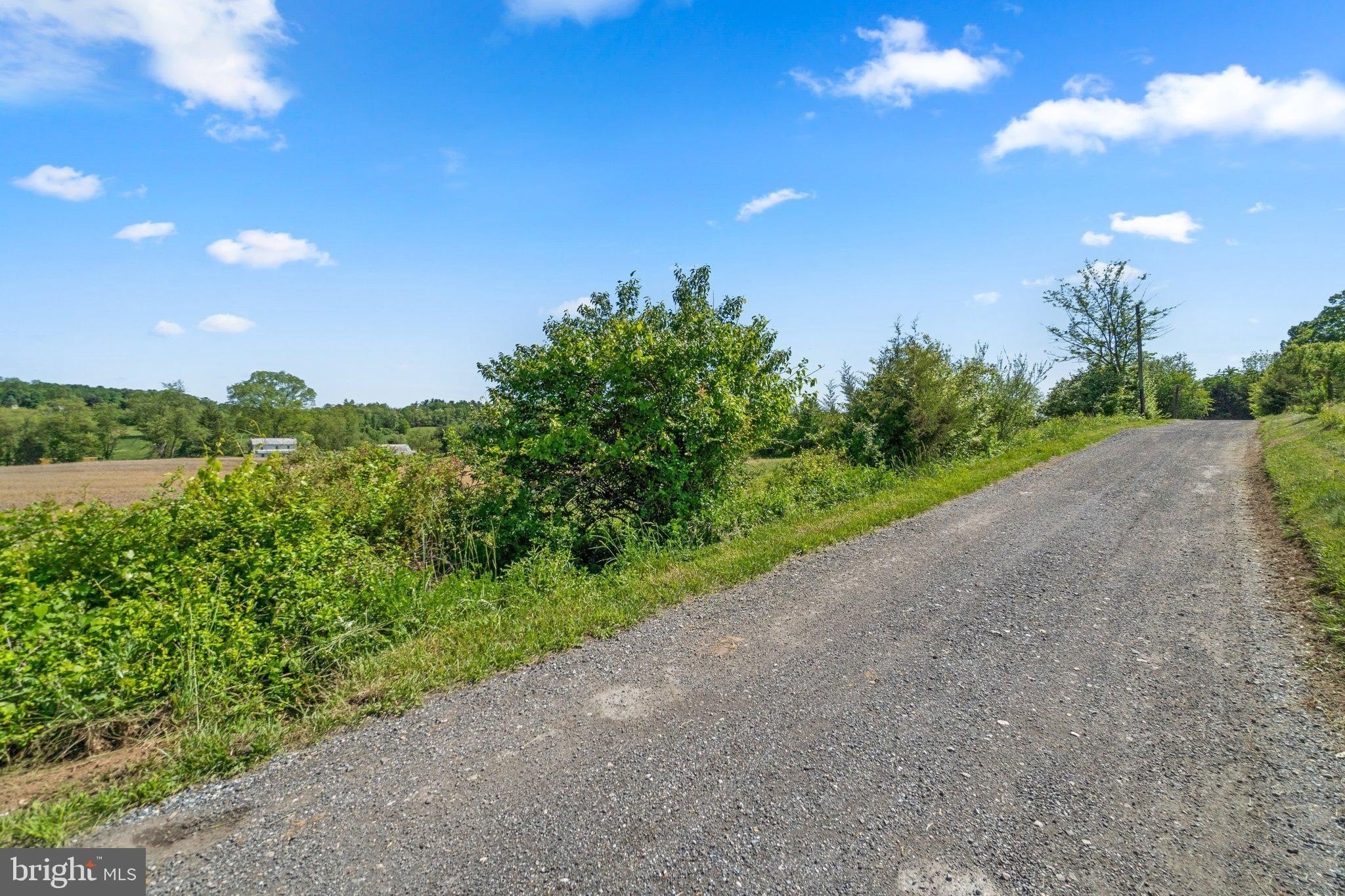 10. Brown Farm Remain Portion Cross Section Rd (Near 2341 Cross Section Rd)