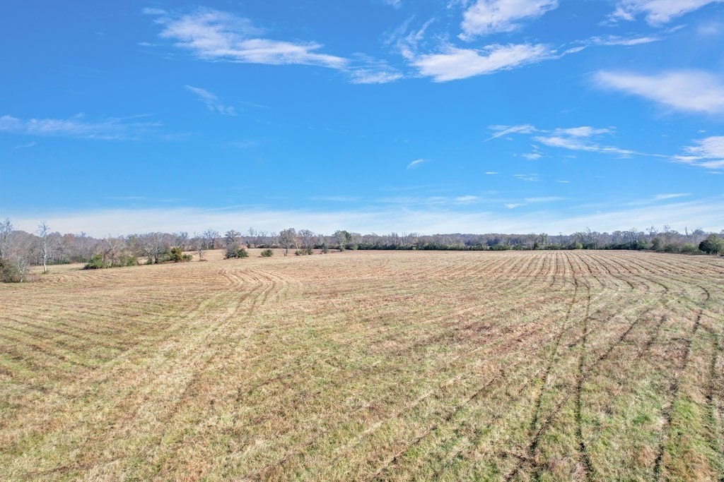 4. 42.8 Ac Turner Rd