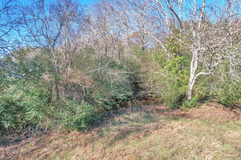 12. 42.8 Ac Turner Rd