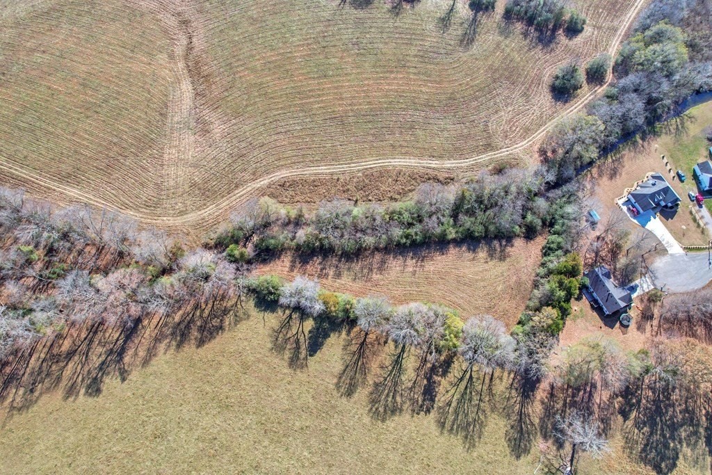 27. 42.8 Ac Turner Rd