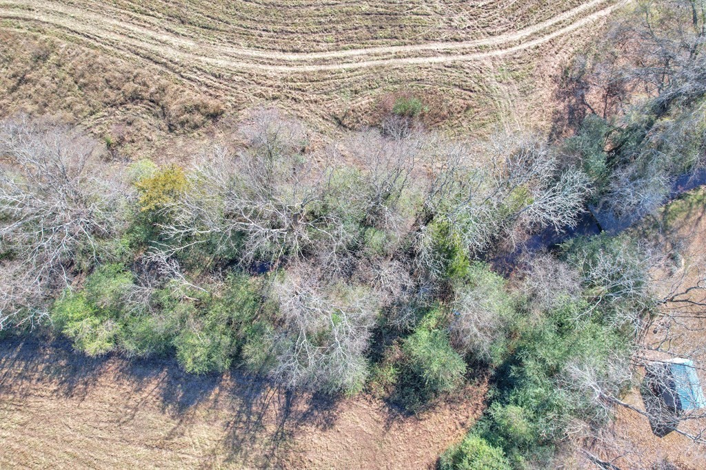 28. 42.8 Ac Turner Rd