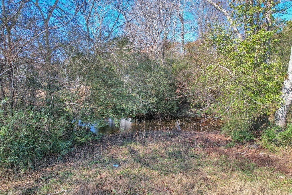 13. 42.8 Ac Turner Rd