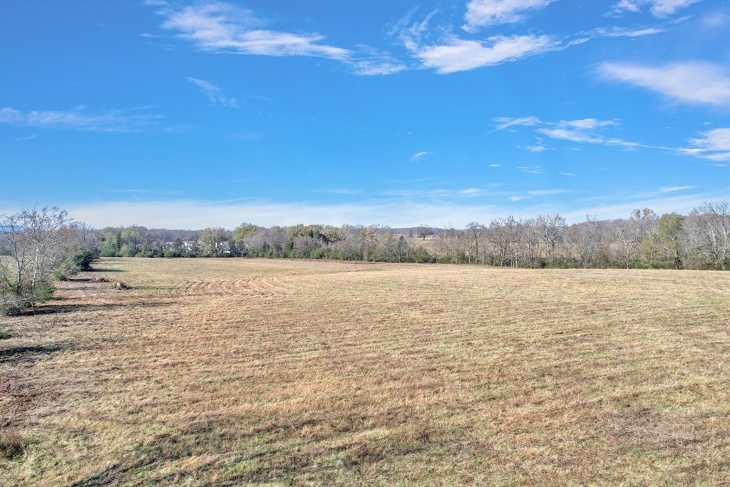 9. 42.8 Ac Turner Rd