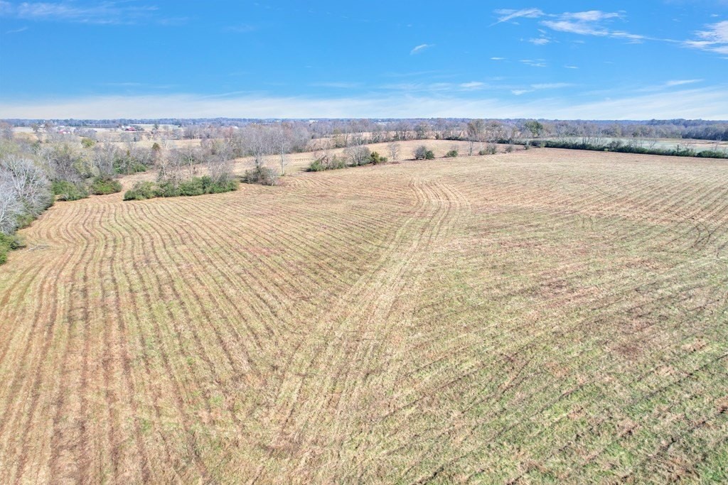 33. 42.8 Ac Turner Rd