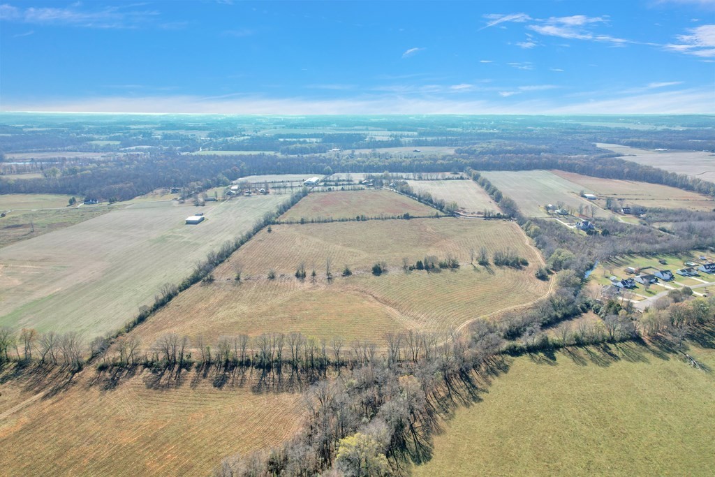 24. 42.8 Ac Turner Rd