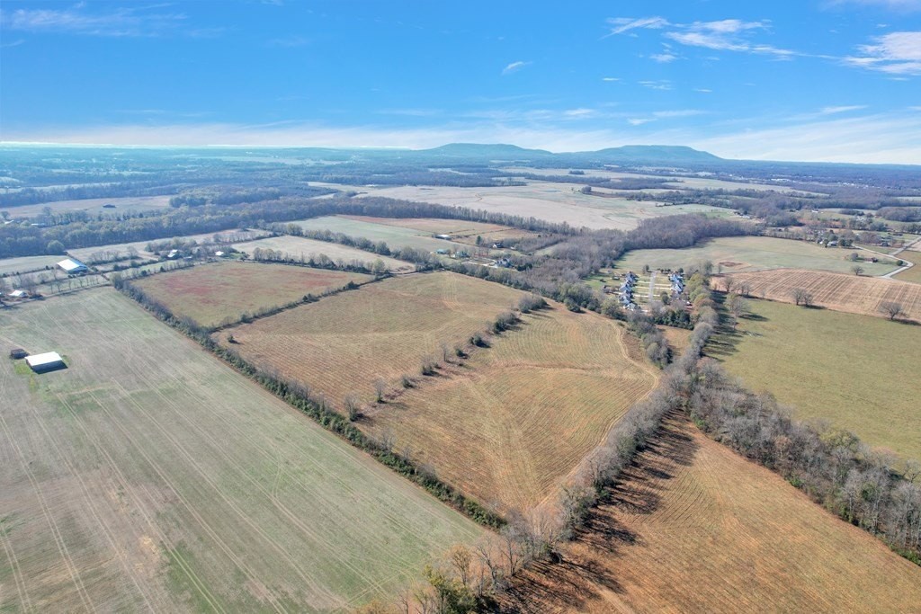 20. 42.8 Ac Turner Rd