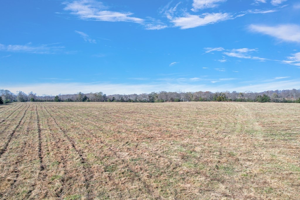 7. 42.8 Ac Turner Rd