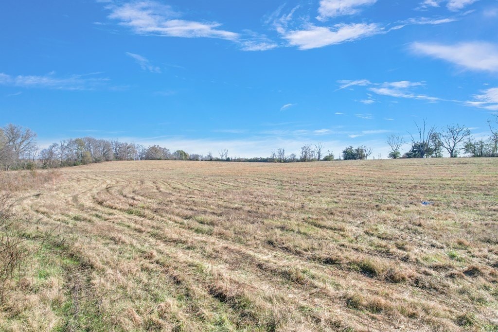 15. 42.8 Ac Turner Rd