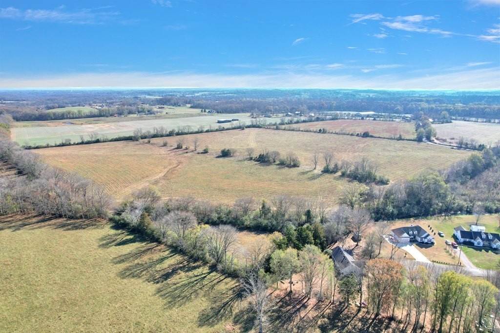 31. 42.8 Ac Turner Rd