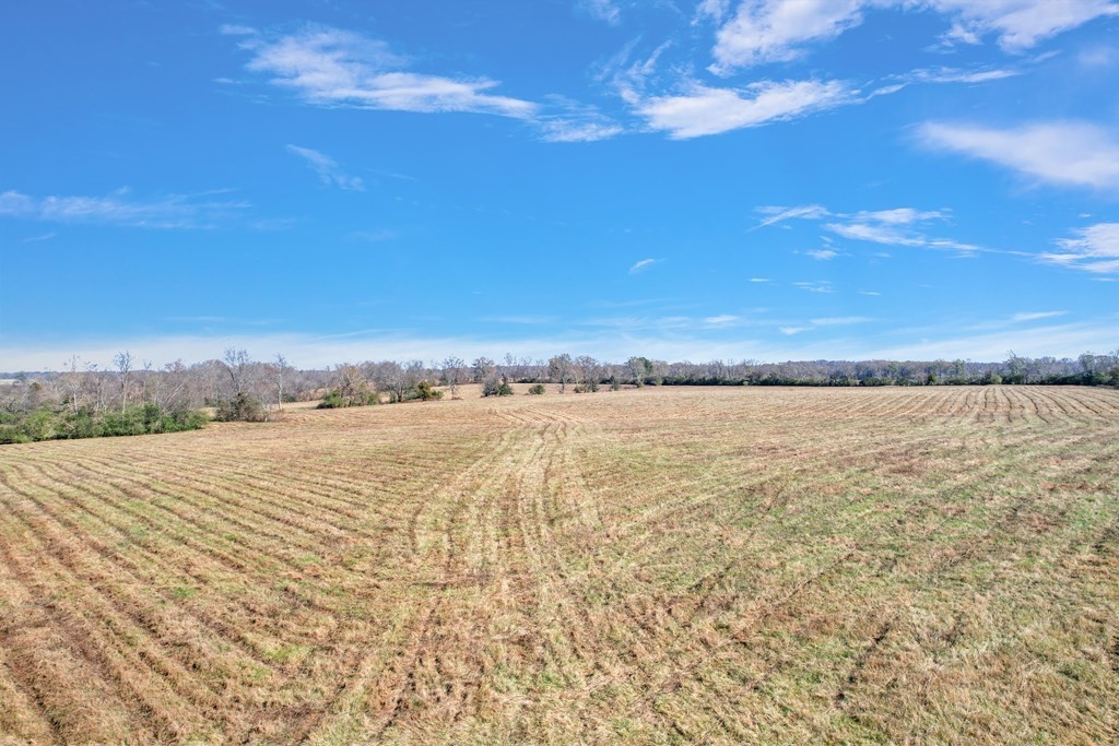 5. 42.8 Ac Turner Rd