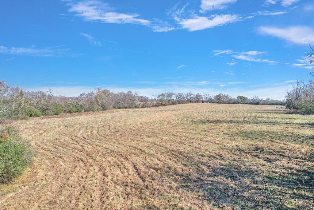 11. 42.8 Ac Turner Rd