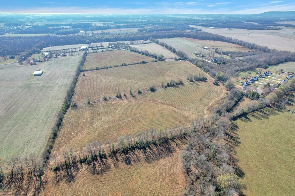 22. 42.8 Ac Turner Rd