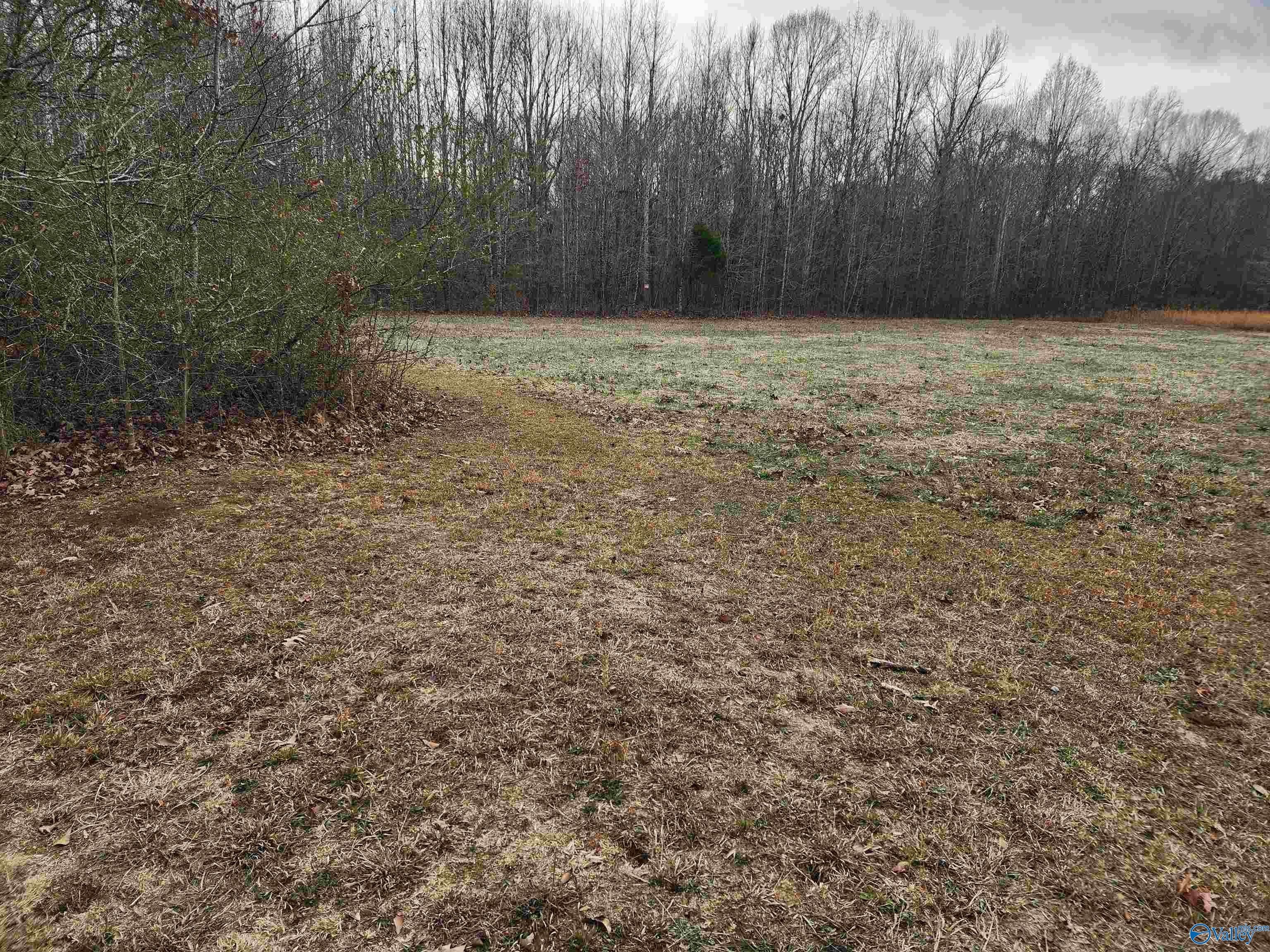 3. 11 Acres Bobo Section Road