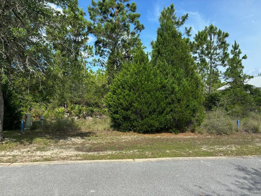1. Lot 9 Shallow Reed Dr