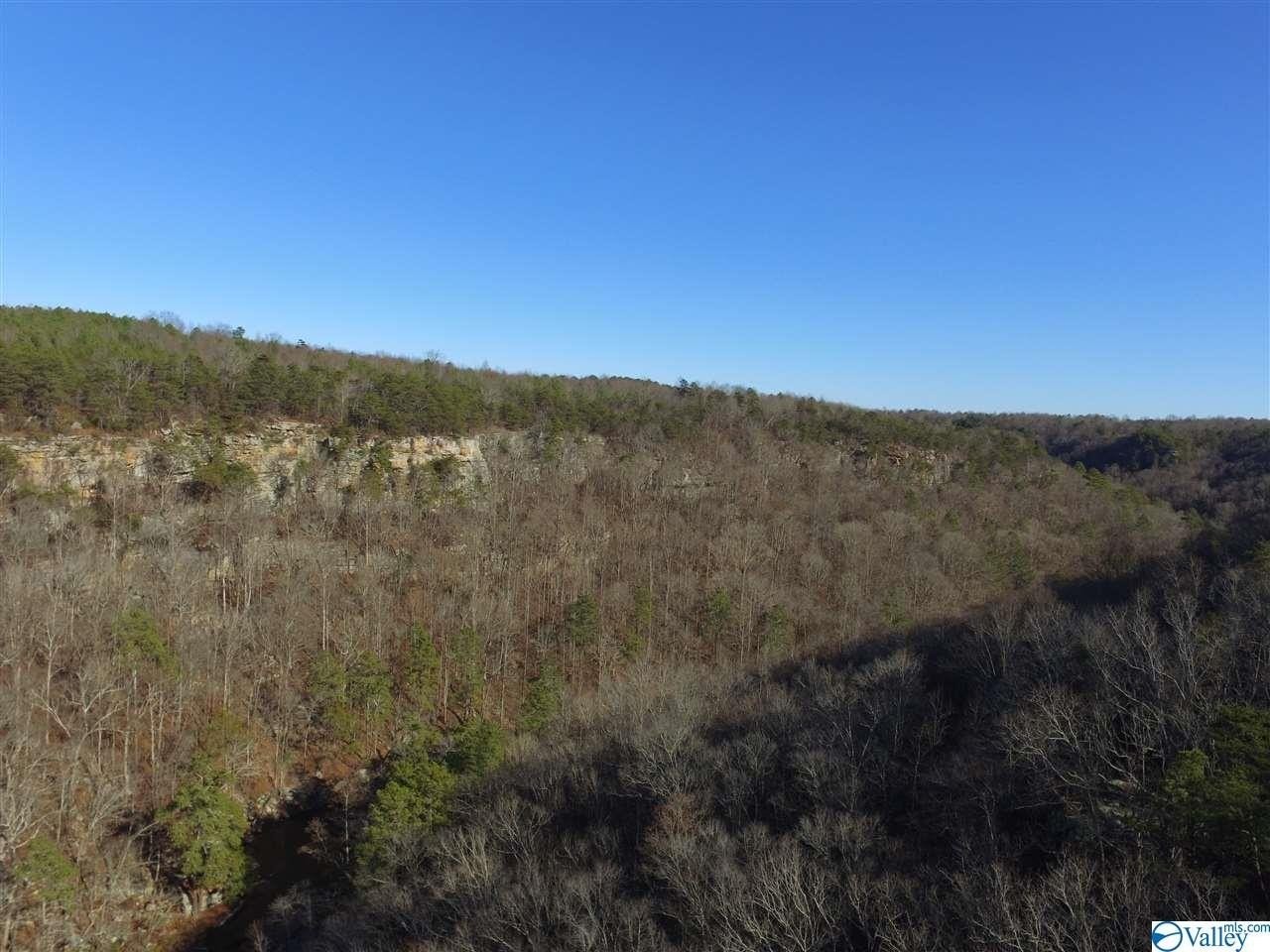 13. Lot 5 Burns Bluff Loop