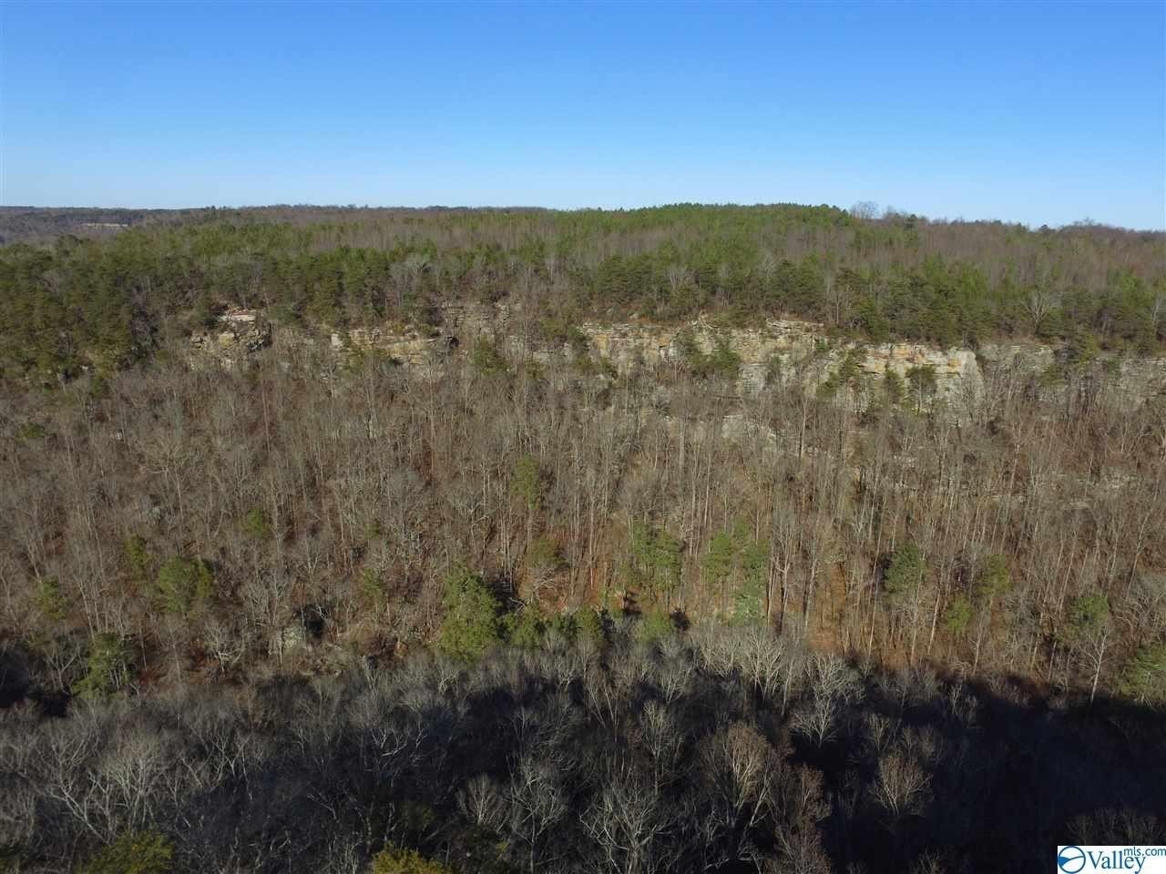 28. Lot 5 Burns Bluff Loop