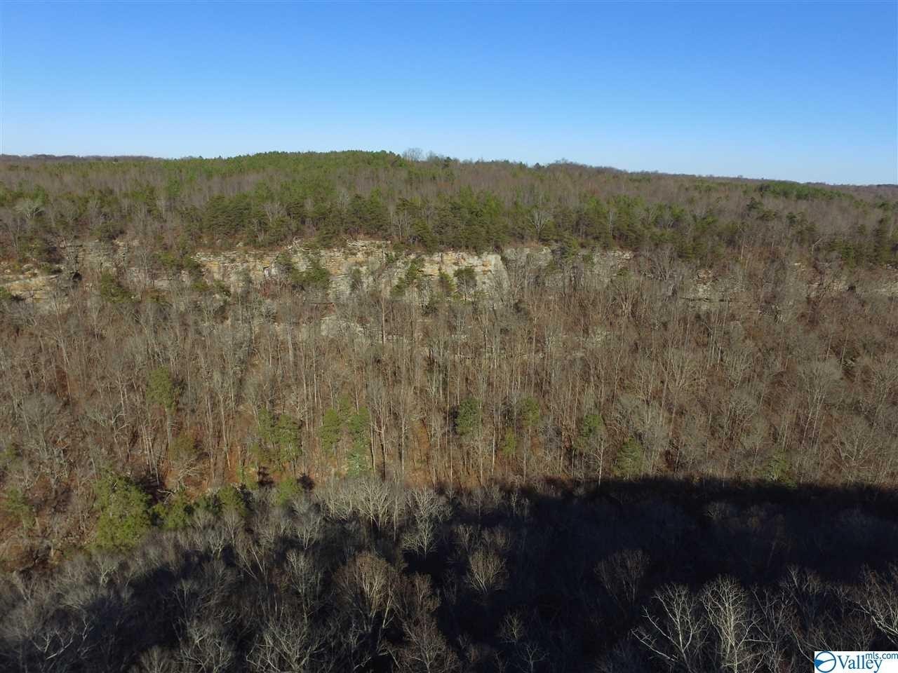 31. Lot 5 Burns Bluff Loop