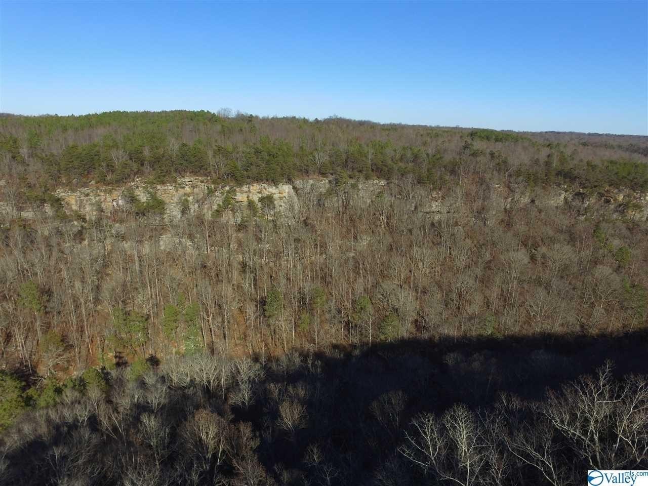 30. Lot 5 Burns Bluff Loop