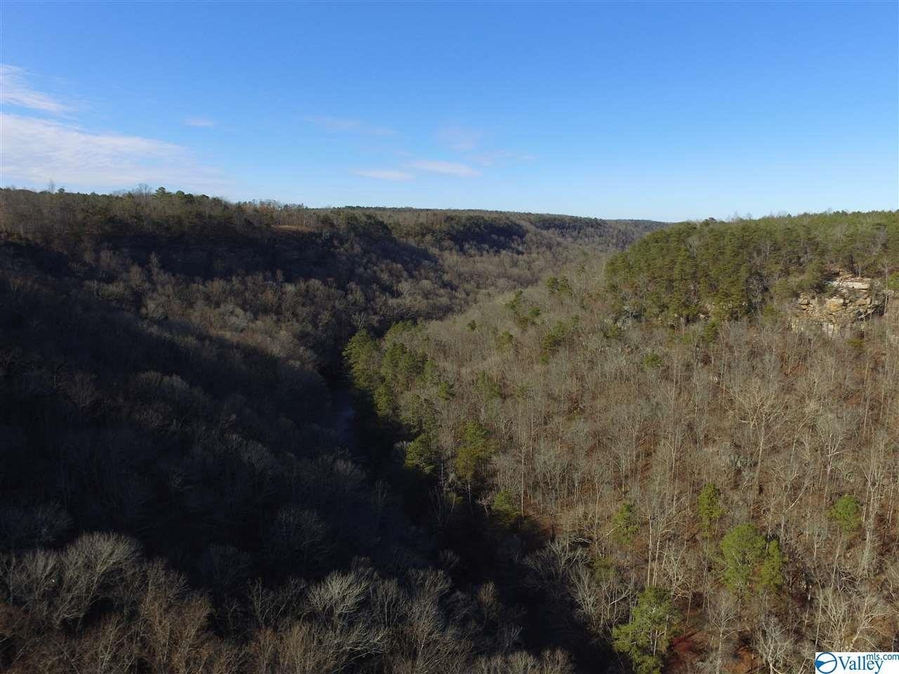 16. Lot 5 Burns Bluff Loop