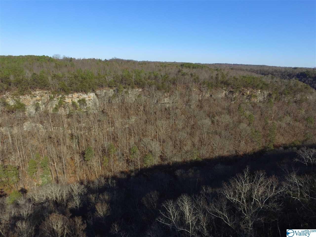 29. Lot 5 Burns Bluff Loop