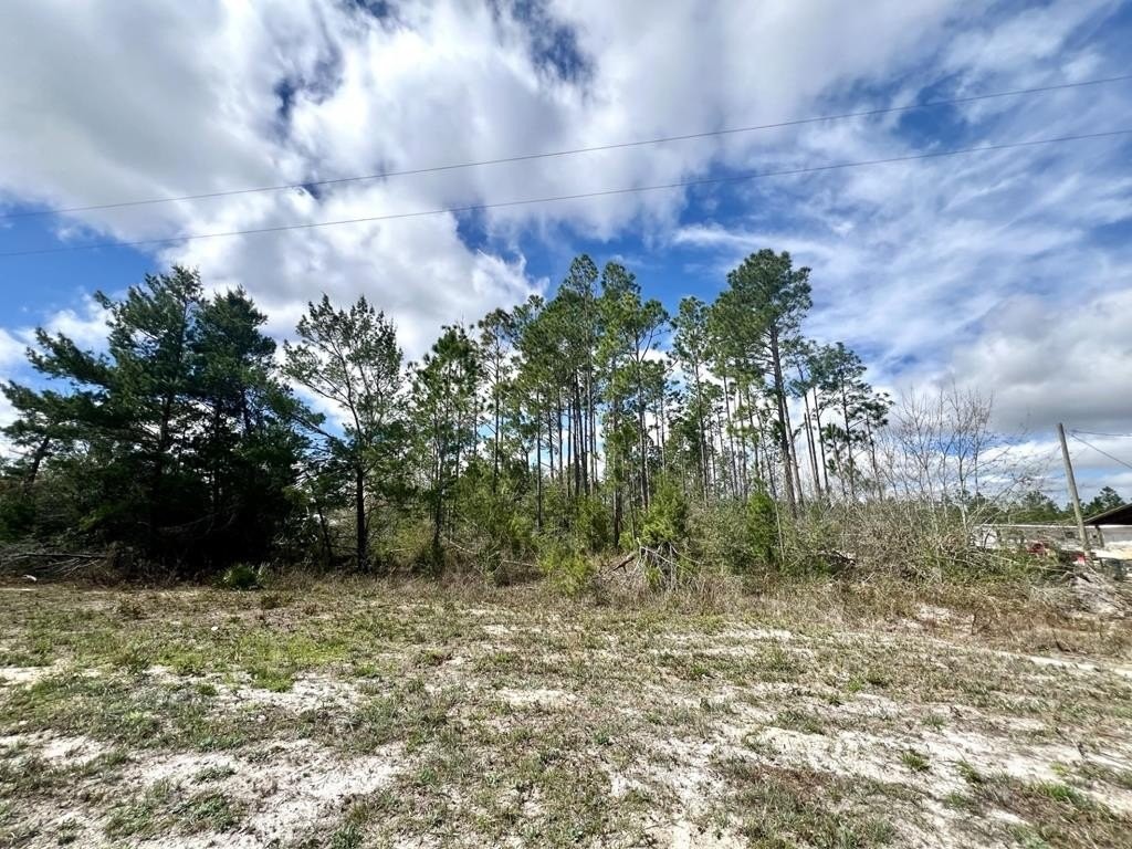 34. Lot 2 Tallahassee Blvd