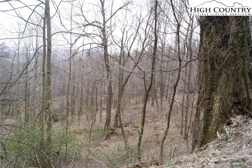 1. Lot 57 Toms Knob Road