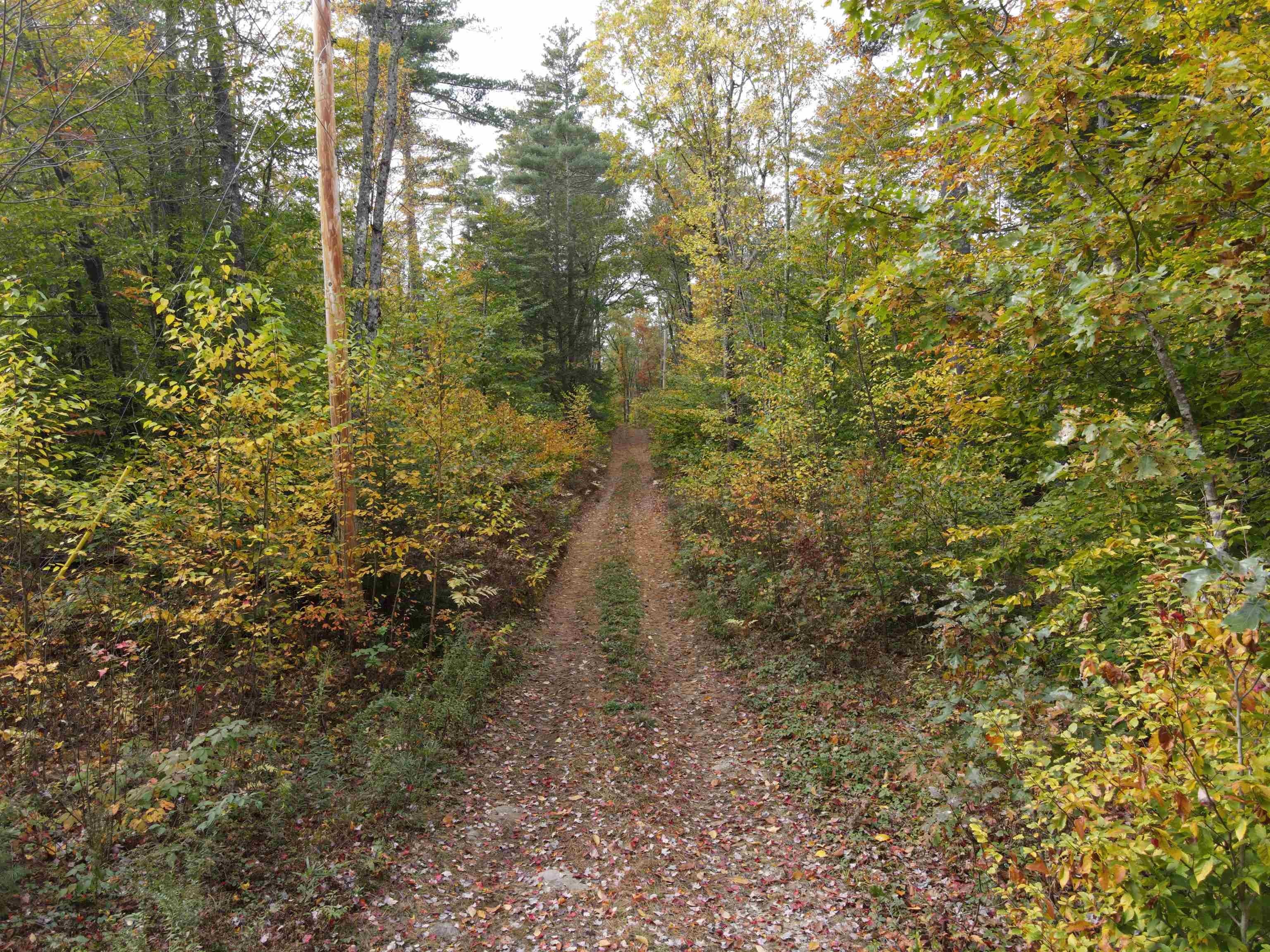 10. Kenison Pond Road