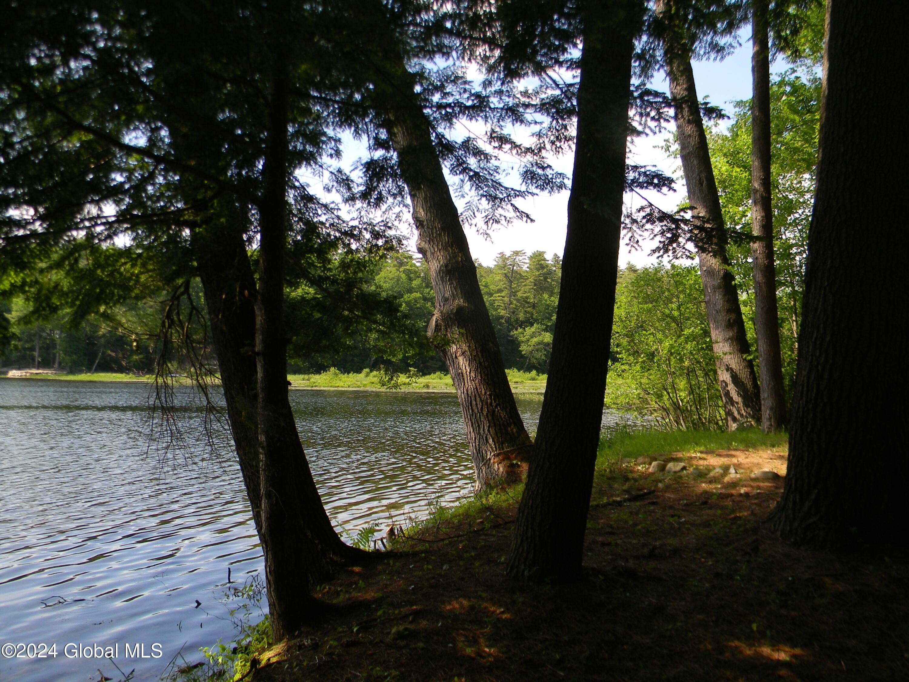 49. 335 Lake Tour Road