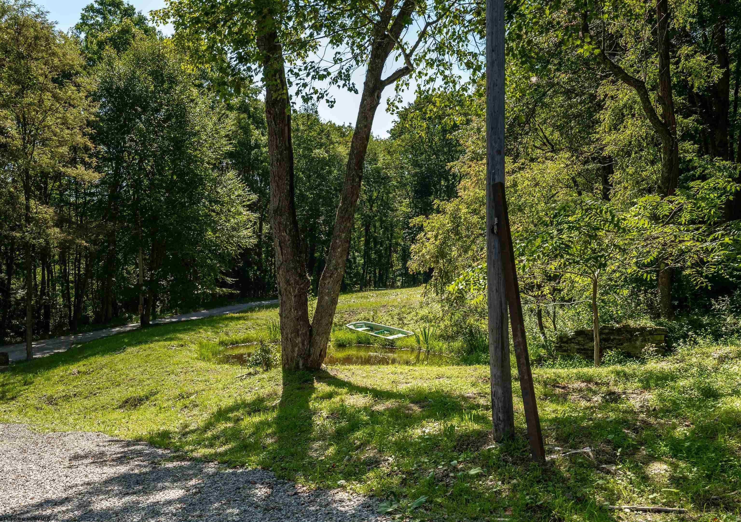 40. 621 Acres Of Whitetail Drive