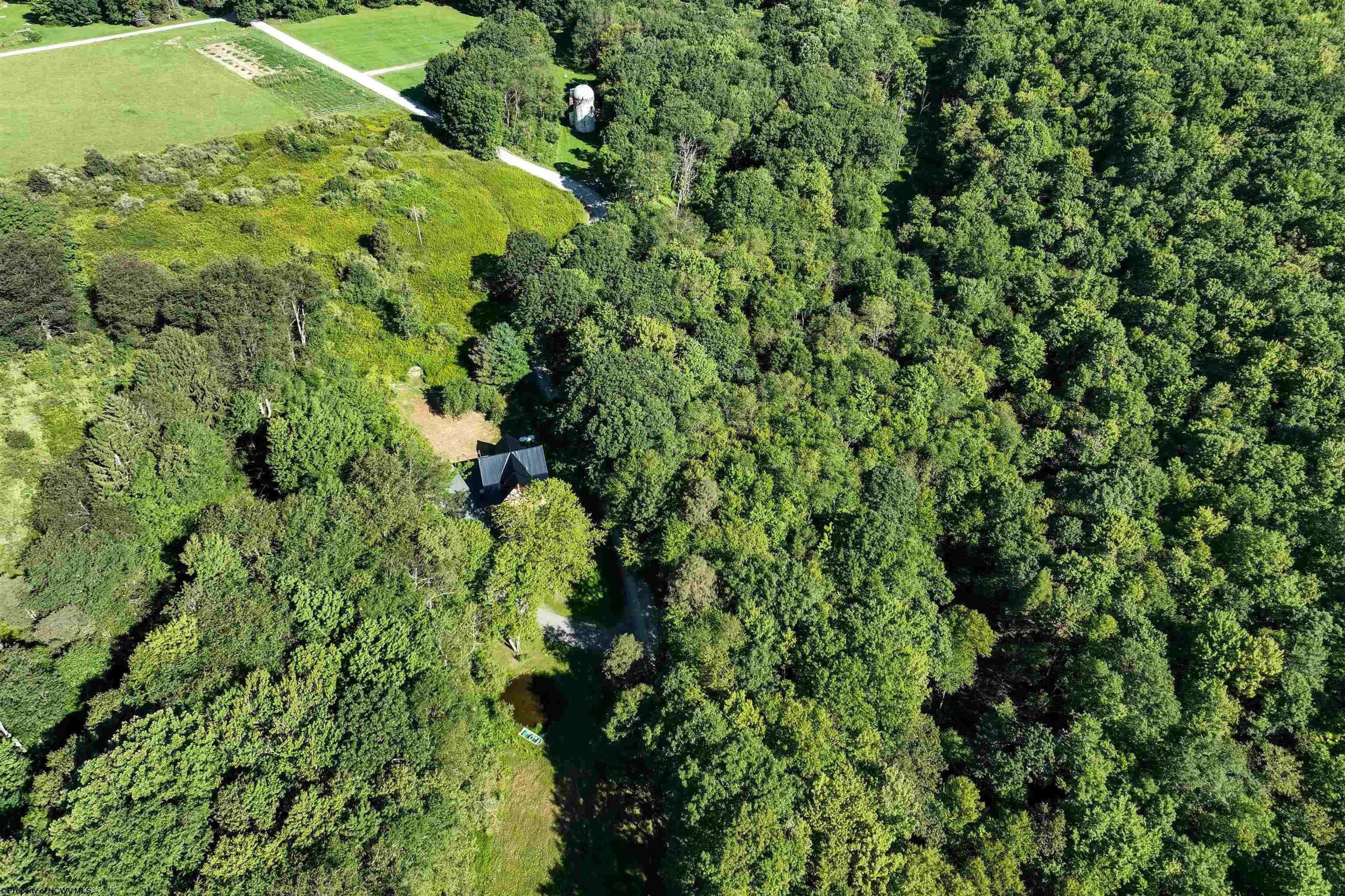 43. 621 Acres Of Whitetail Drive