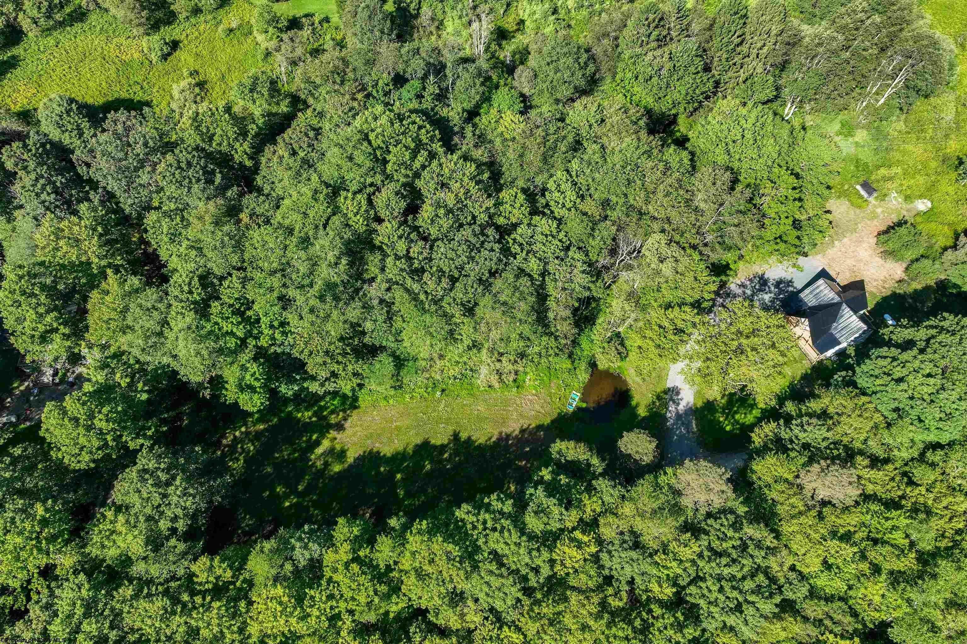 42. 621 Acres Of Whitetail Drive